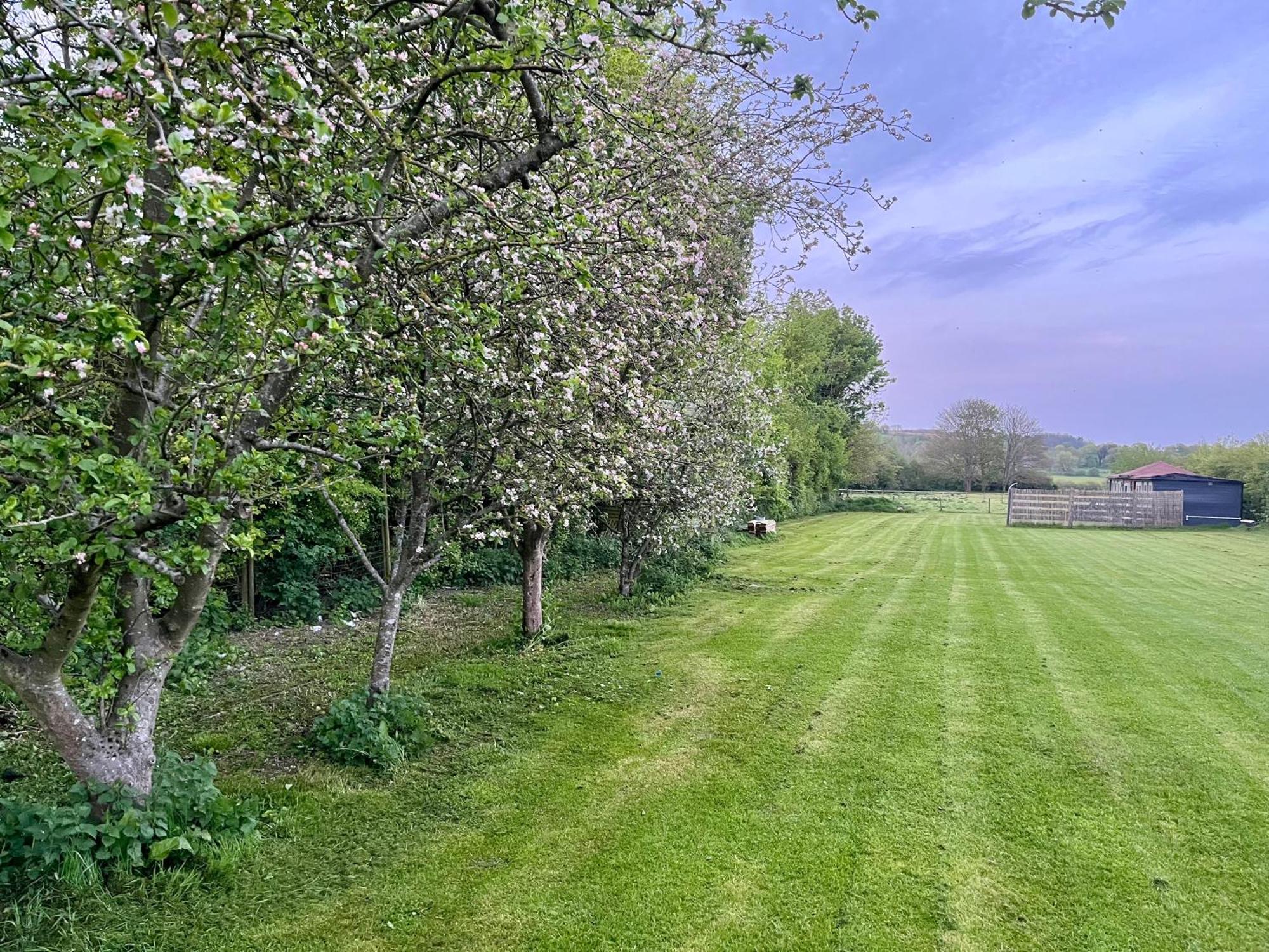 Gorgeous Countryside Cabin Lyminge Dış mekan fotoğraf